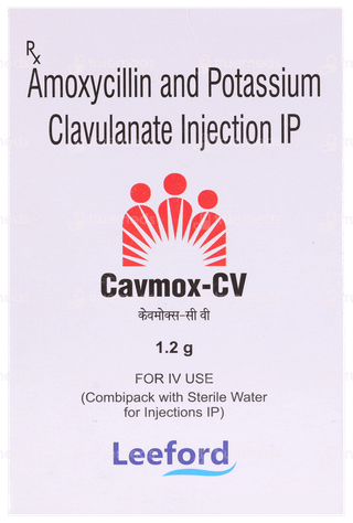 Cavmox Cv Injection 1